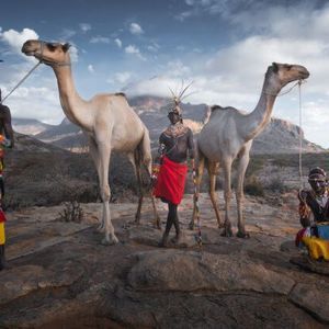 Meet your Posher, Jerry